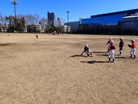 20150131C3.jpg