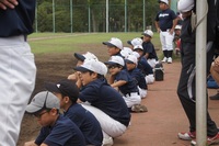 20170611-C3.JPG